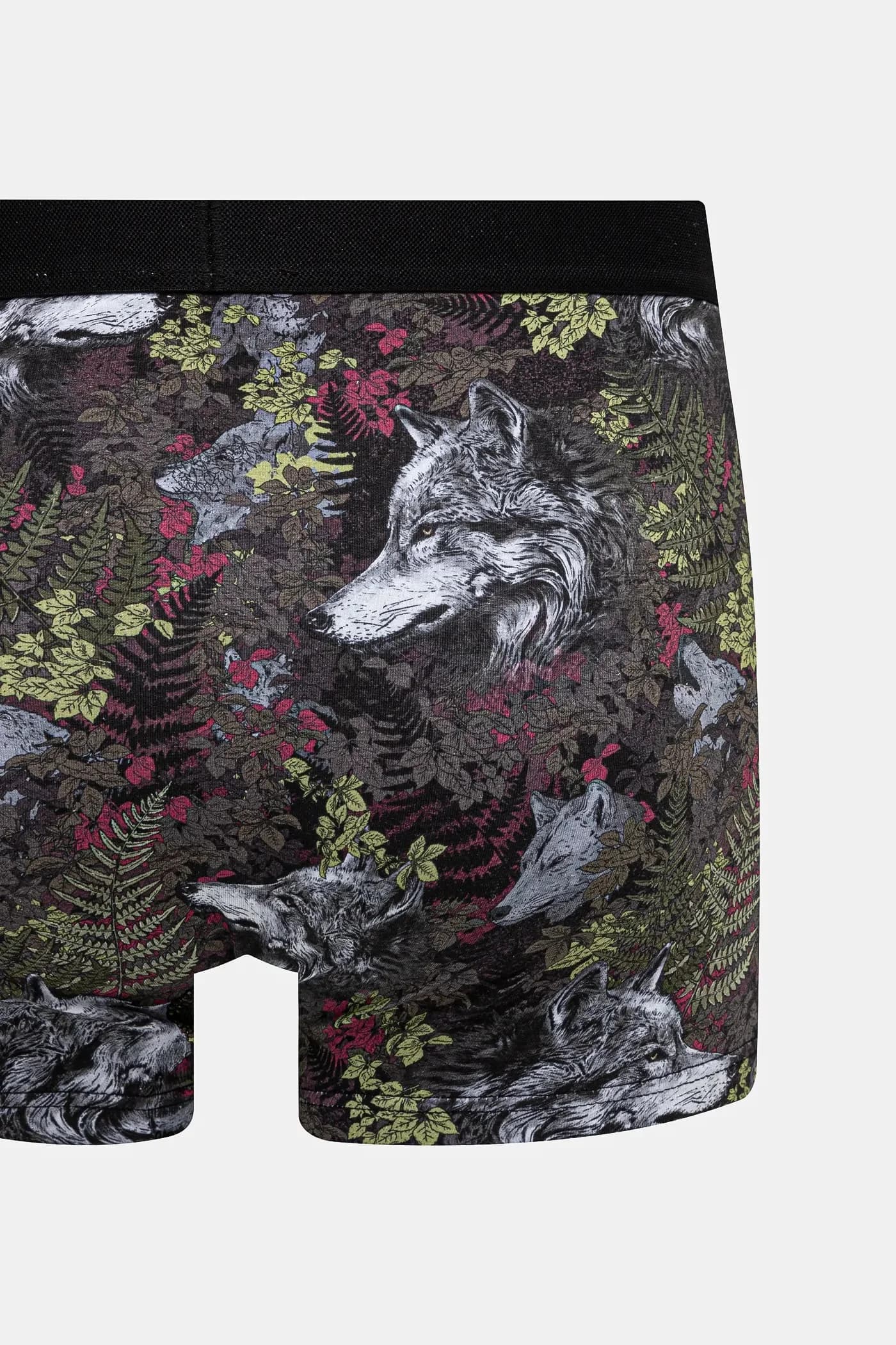 Боксеры - фото 4