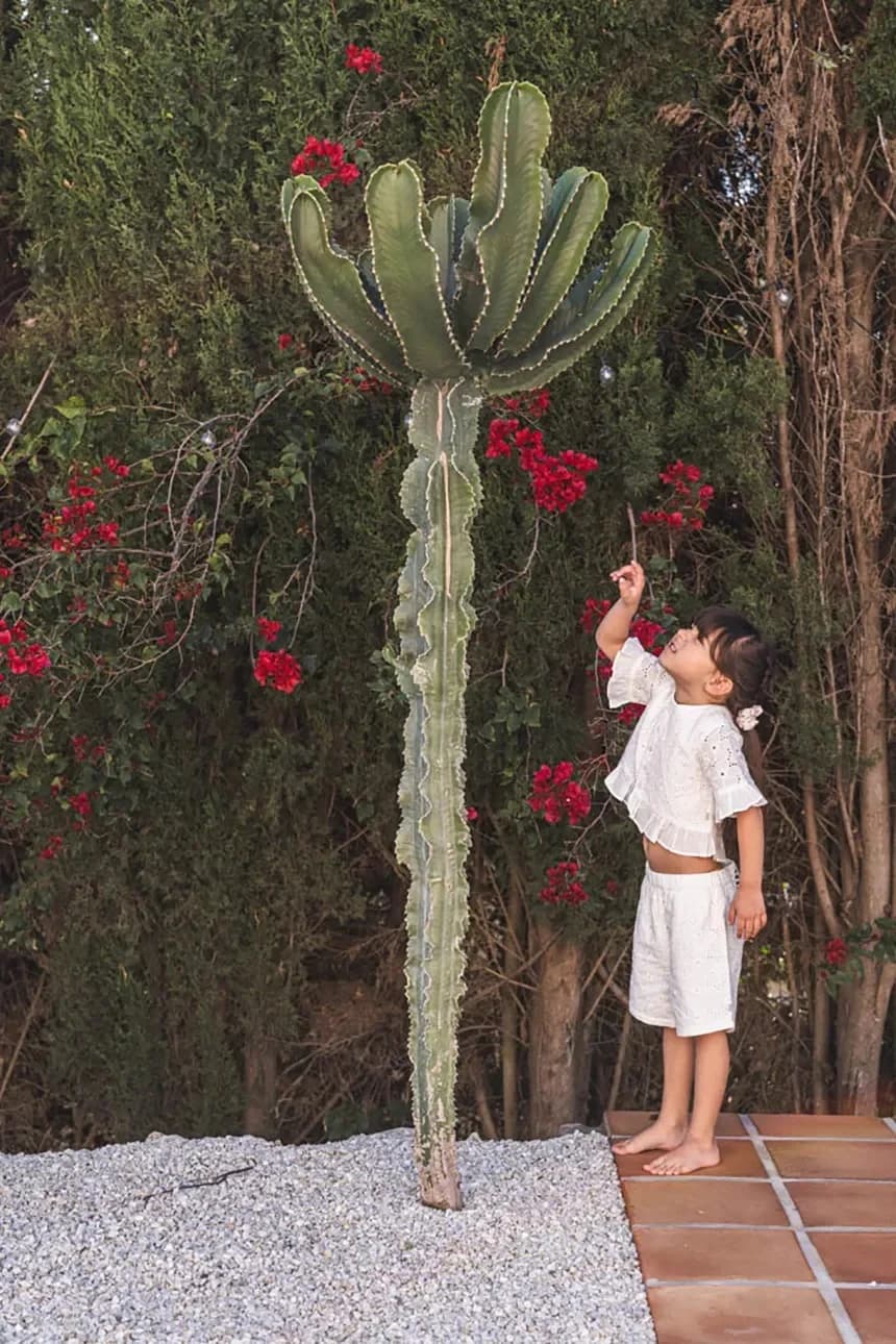 Детская хлопковая блузка Ibbi - фото 6