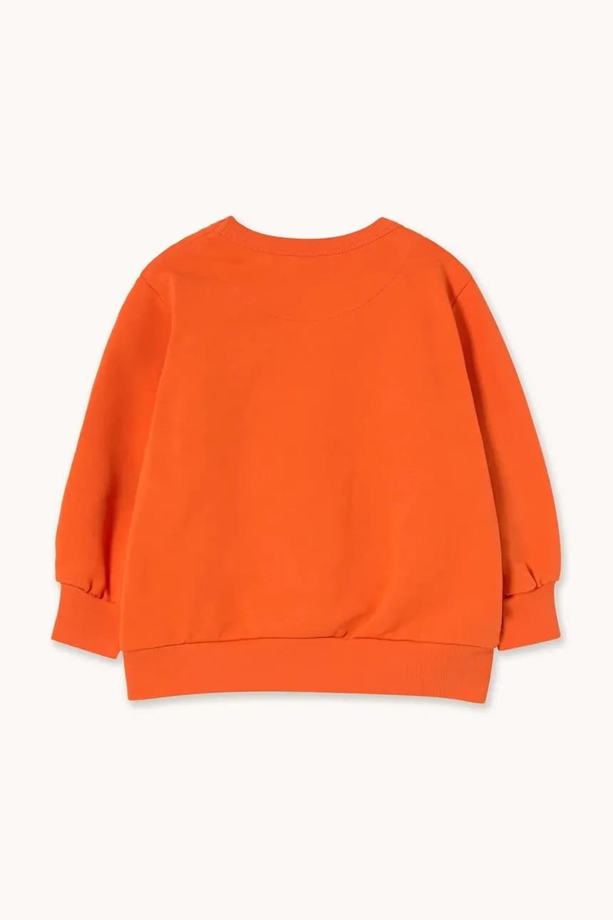 Детская толстовка из хлопка TINY&TINY GRAPHIC SEATSHIRT - фото 3