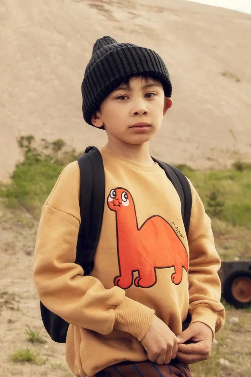 Детская хлопковая толстовка Dino