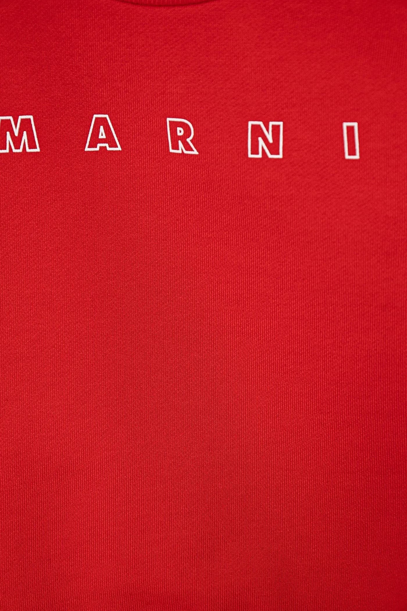 Хлопковая детская толстовка MS319B СВИТШОТ - фото 3