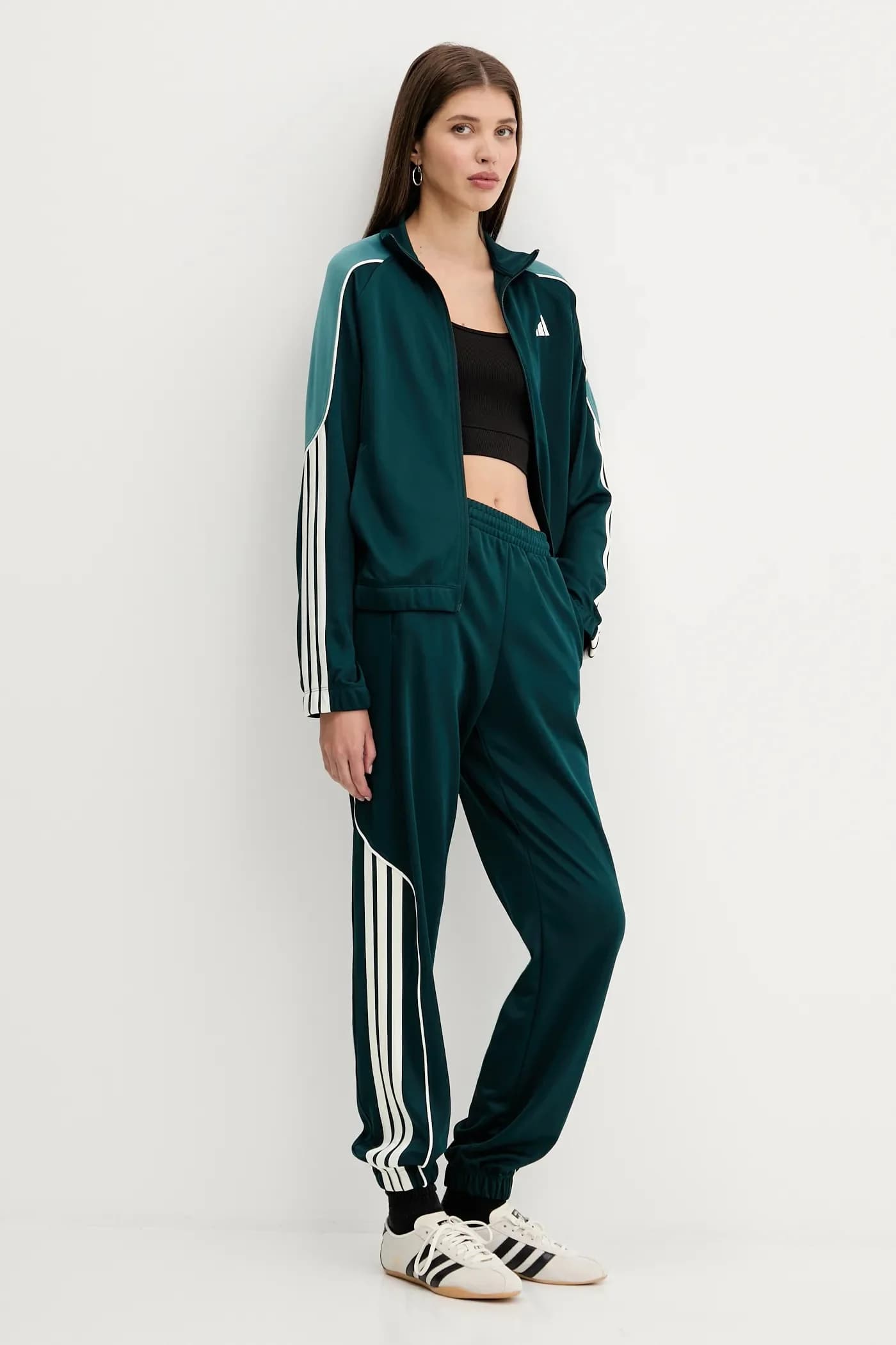 Стадион Дрес