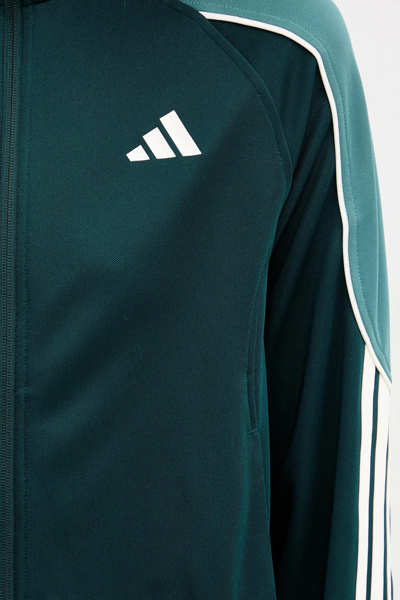 Стадион Дрес - фото 6