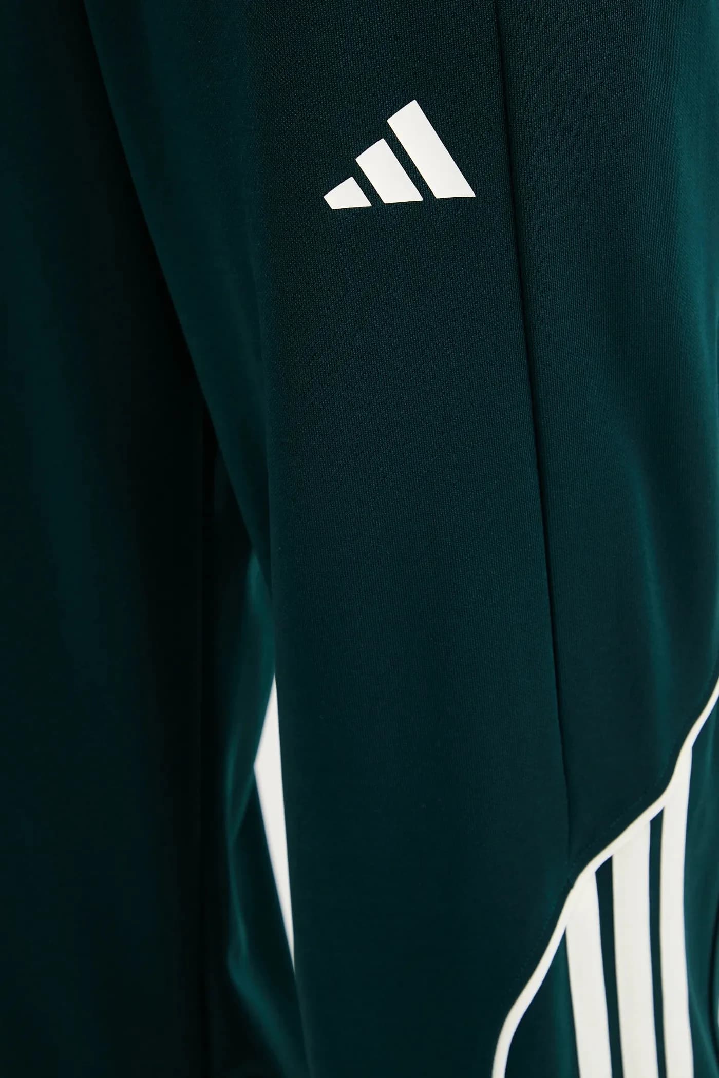 Стадион Дрес - фото 7