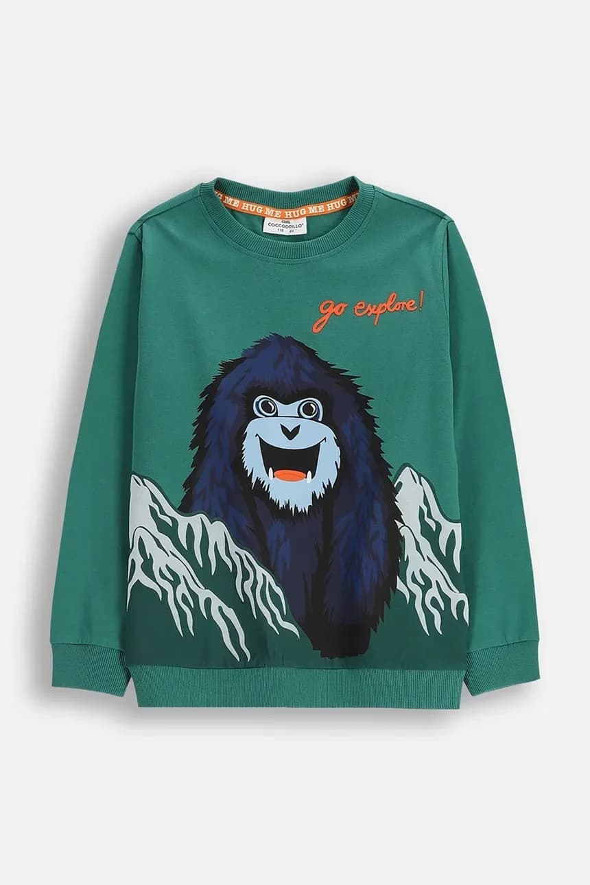 Детская хлопковая толстовка