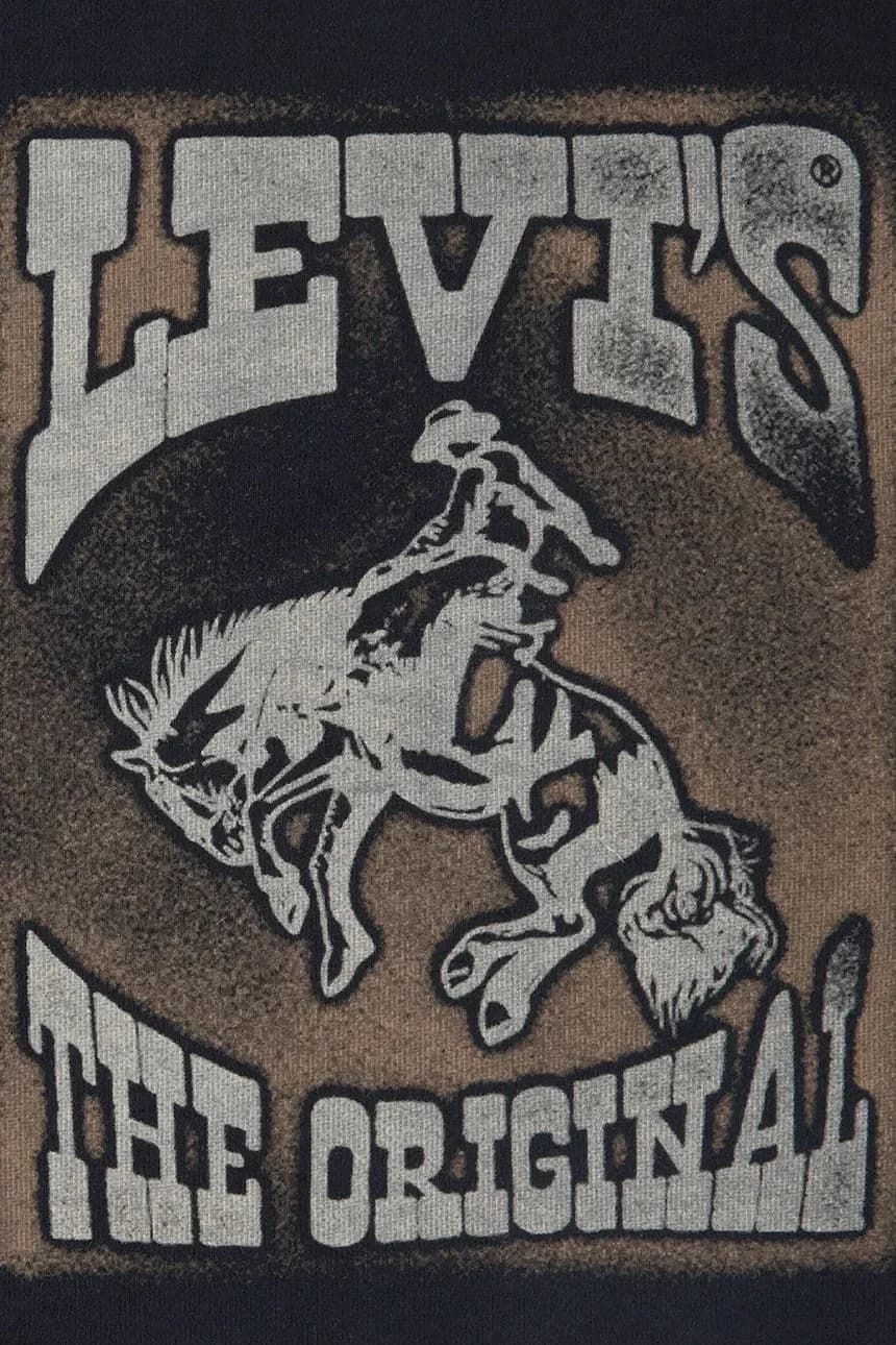 Детская толстовка RODEO READY HOODIE - фото 3