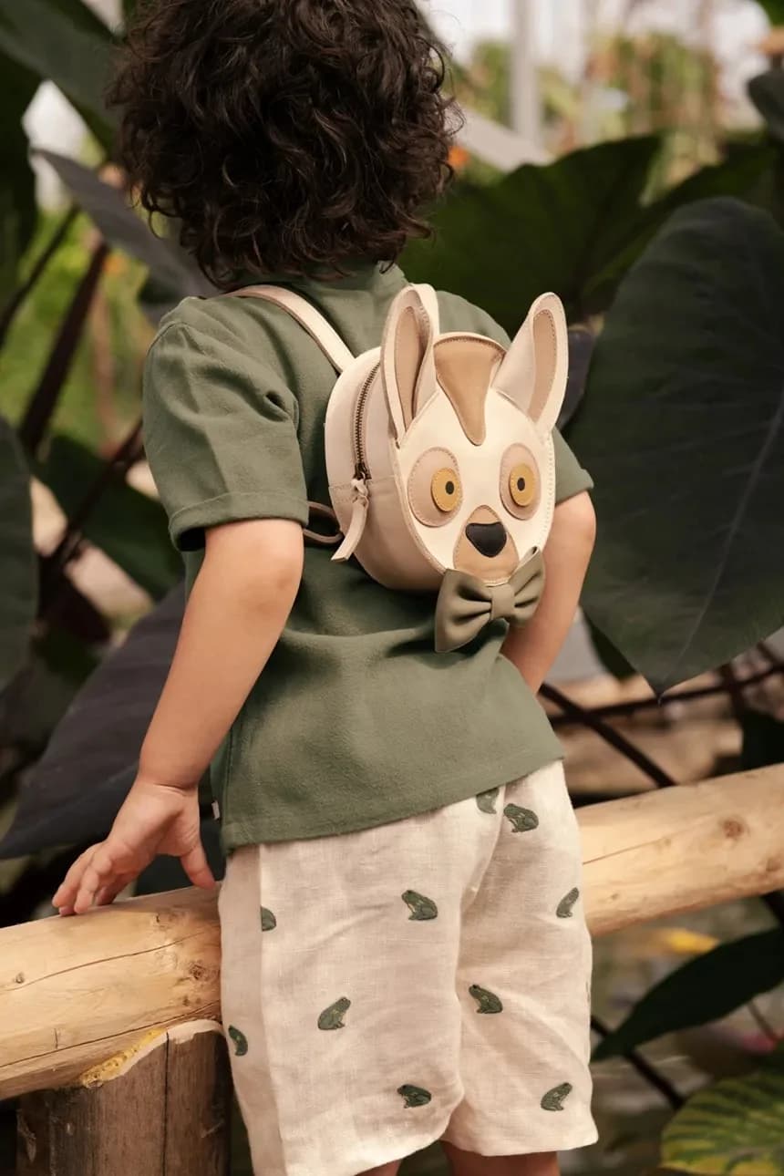 Olivier Shorts Льняные шорты Frogs