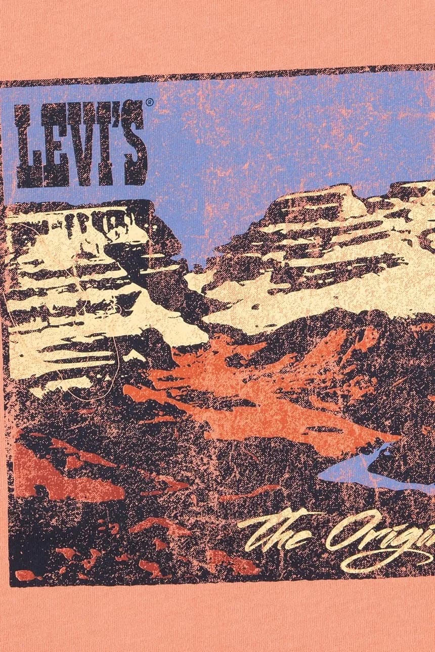 Детская футболка CANYON LANDSCAPE TEE - фото 3