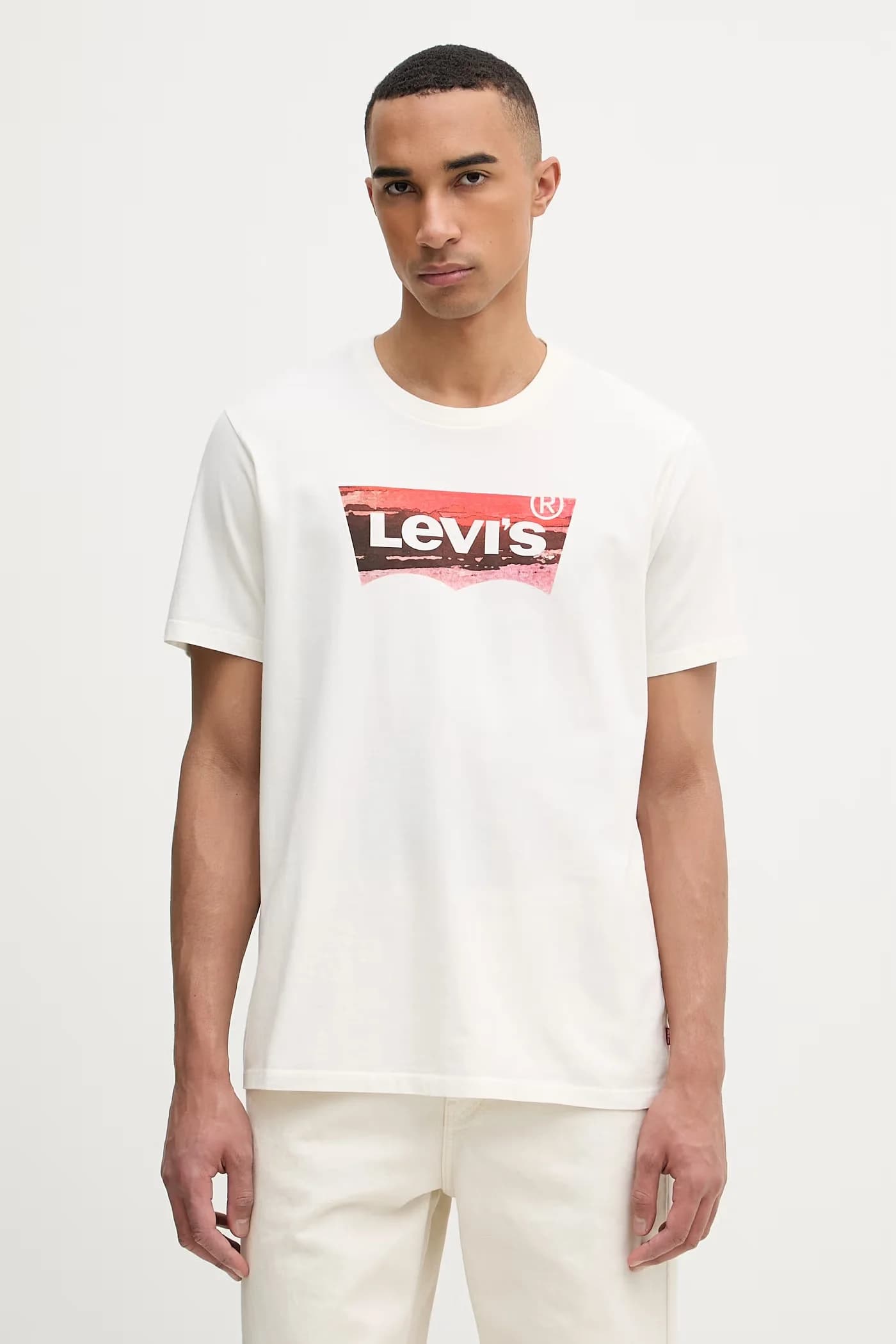 Мужская хлопковая футболка GRAPHIC CREWNECK - фото 1