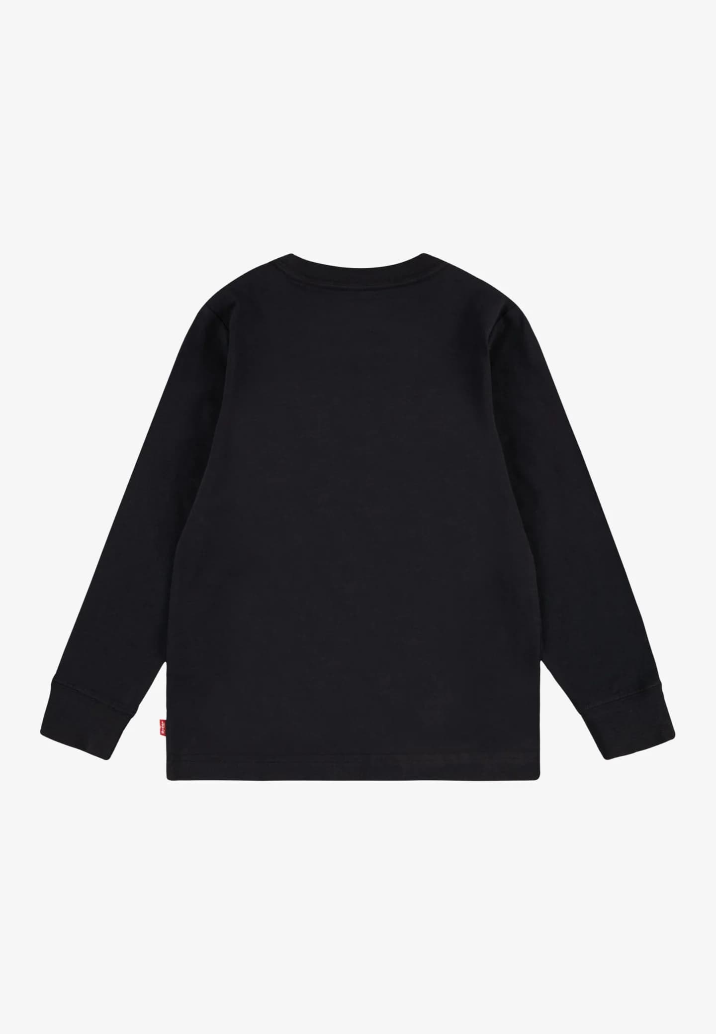 ФУТБОЛКА BATWING TEE - Блуза с длинными рукавами - фото 2