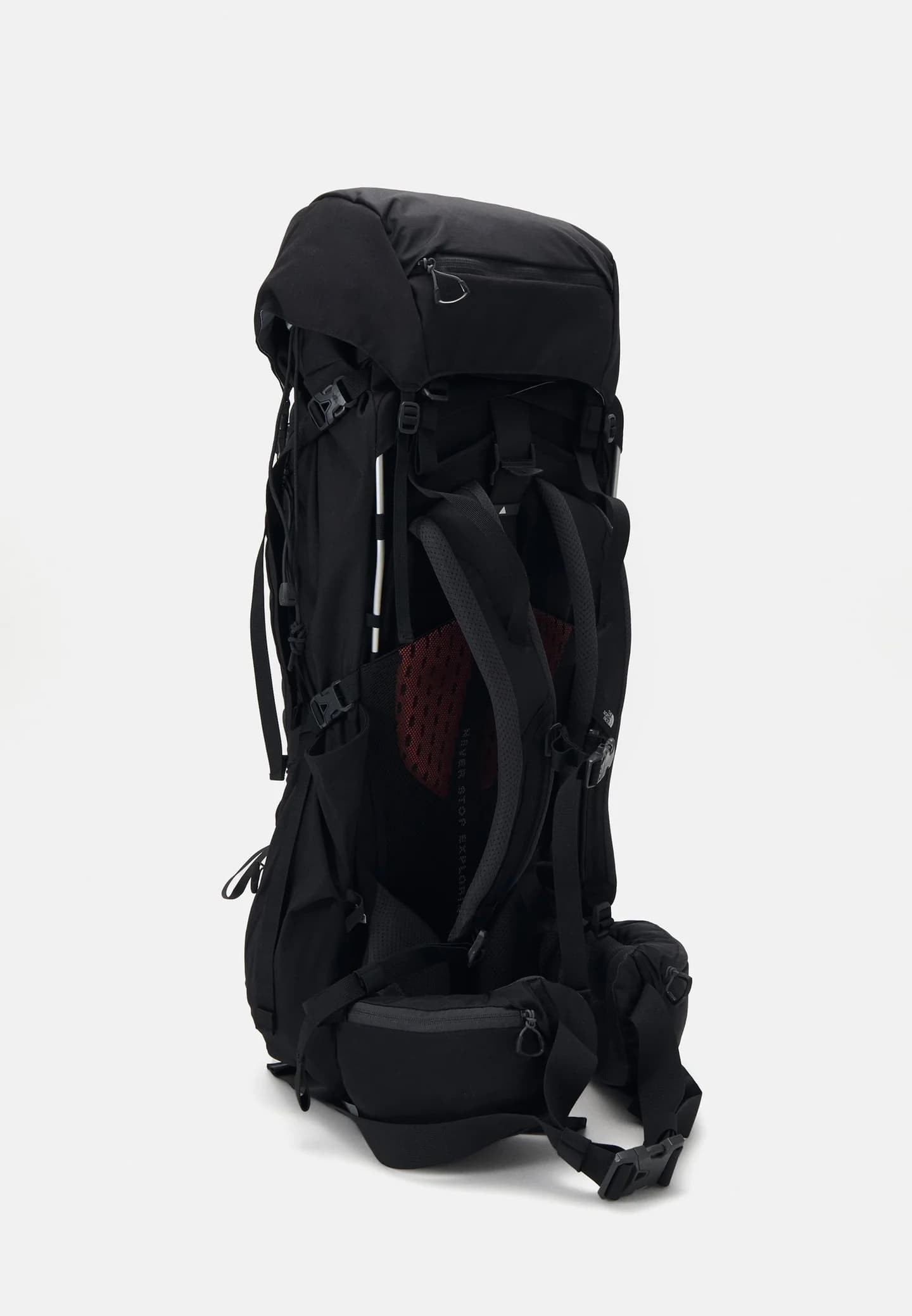 TERRA 65 UNISEX - Рюкзак треккинговый - фото 2