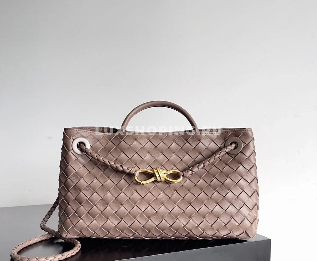 Сумка BOTTEGA VENETA ANDIAMO East-West бежевый - фото 2
