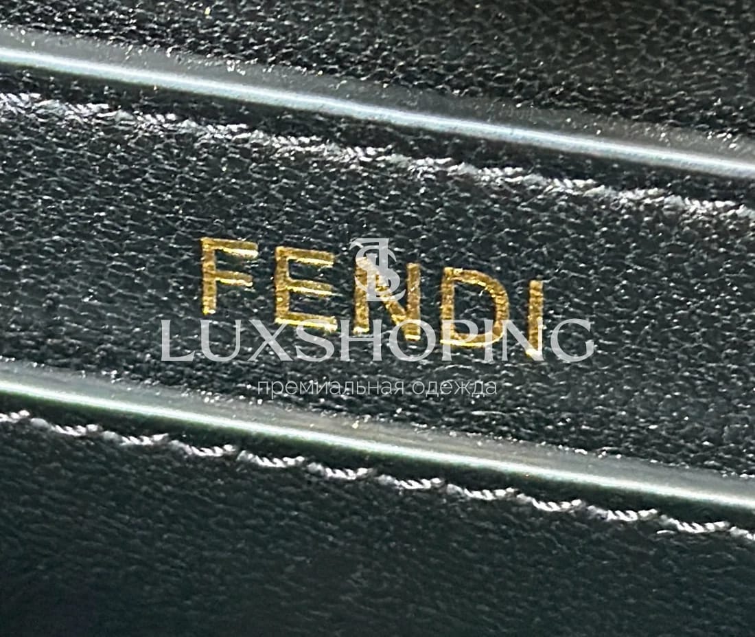 Fendi Peekaboo ISeeU Petite черная 20×11×15 см - фото 7