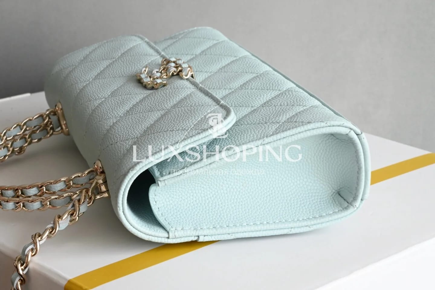 CHANEL Kelly Phone Bag  Бело-голубая жемчужина сезона 10 × 18 × 4.5 см - фото 5