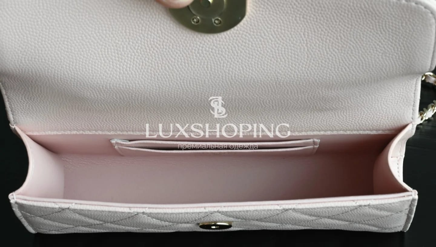 CHANEL Kelly Phone Bag  Нежно-Розовая жемчужина сезона 10 × 18 × 4.5 см - фото 4