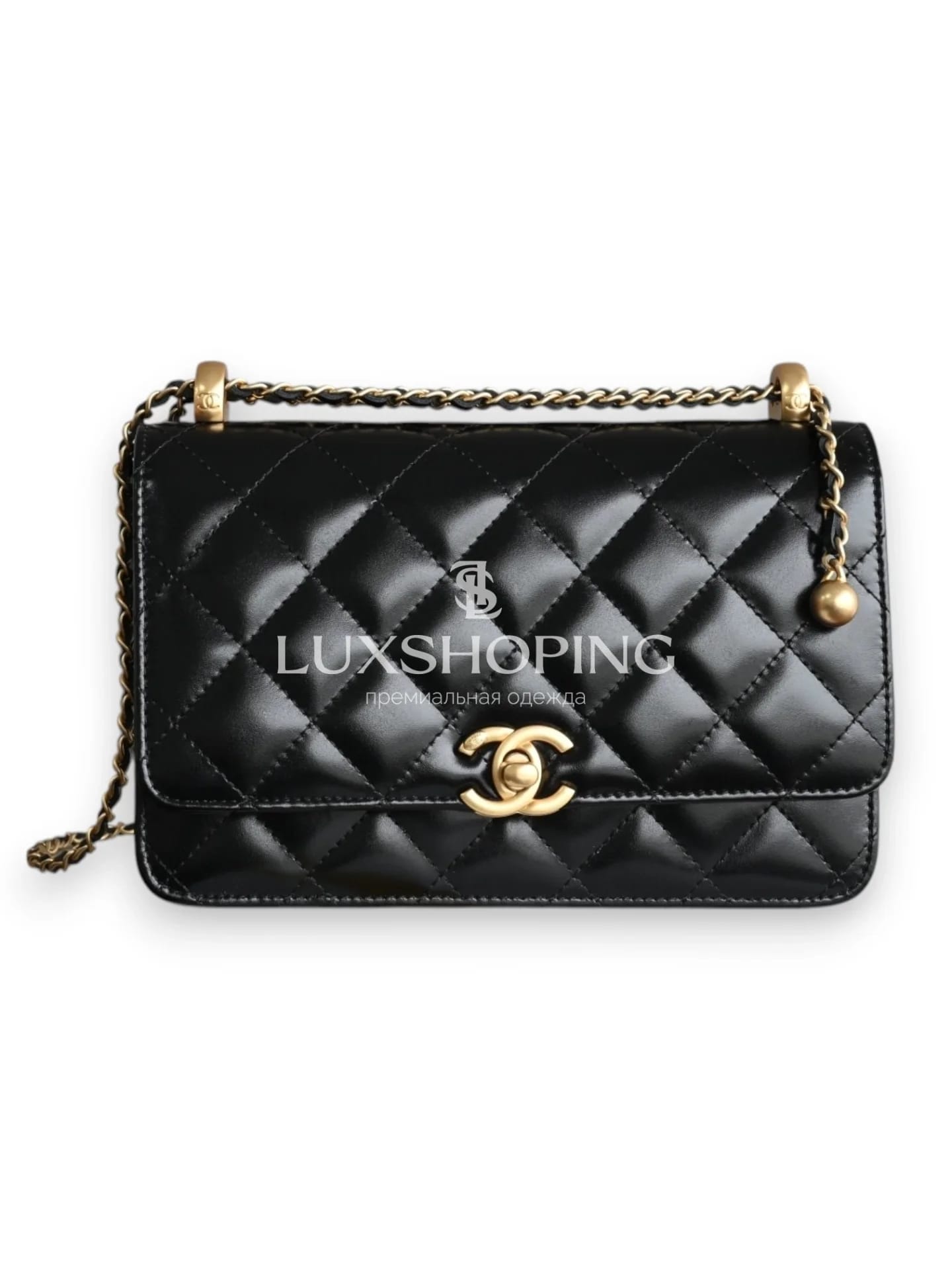 Сумка Chanel 25S WOC малого размера 12.3×19.2×3.5 см