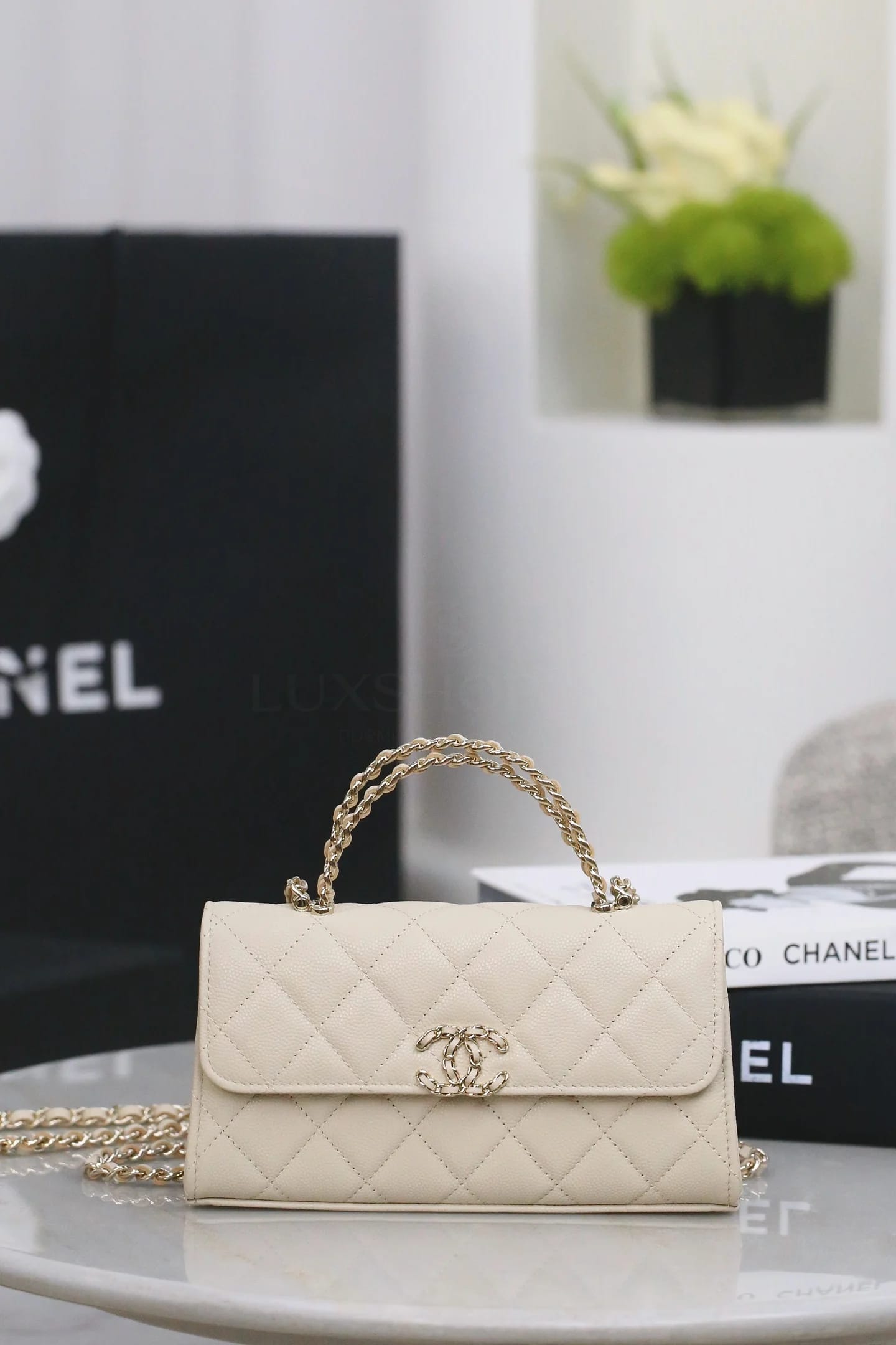 Chanel 25S Ручная сумка 10х18х4.5 см - фото 2