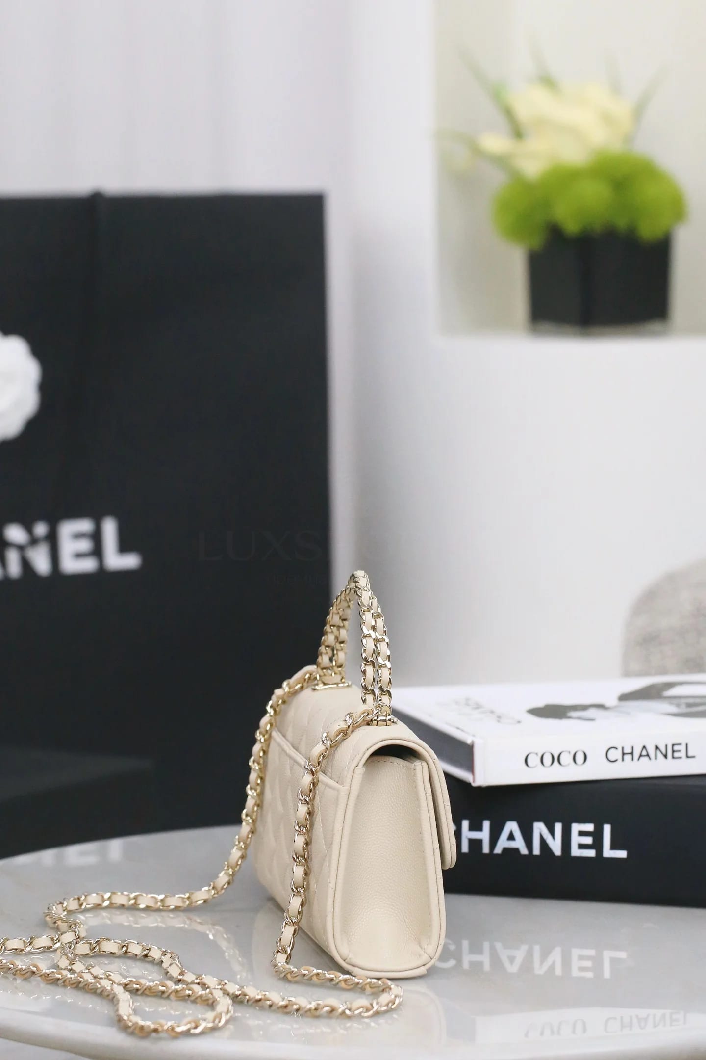Chanel 25S Ручная сумка 10х18х4.5 см - фото 5