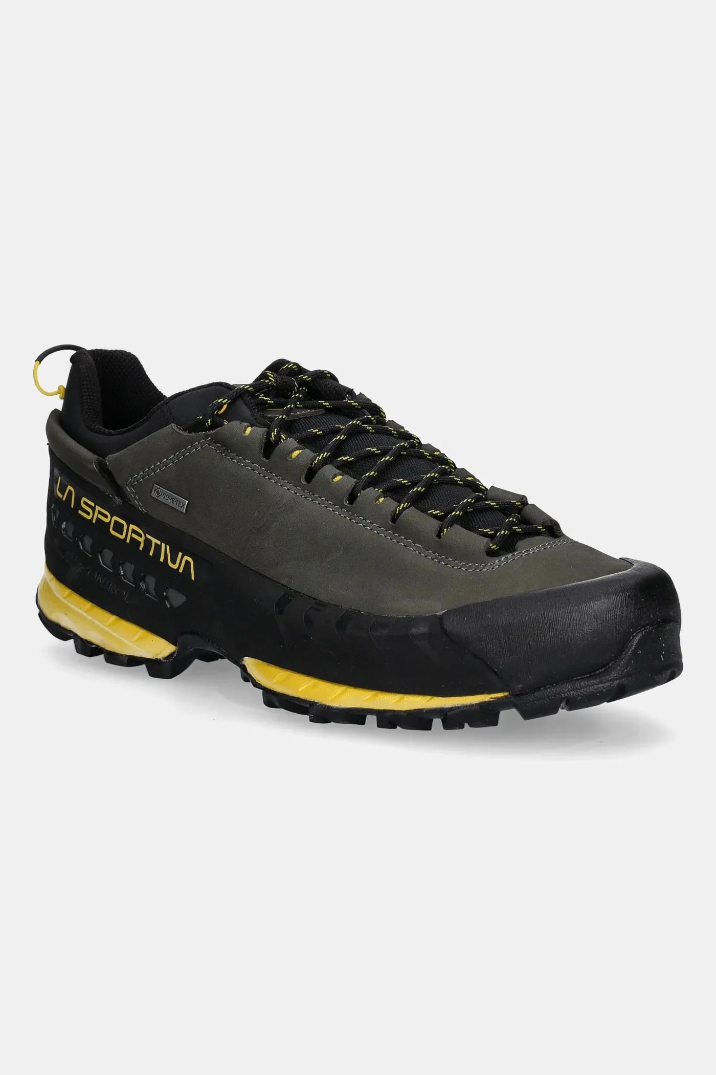 Уличная обувь TX5 Low GTX