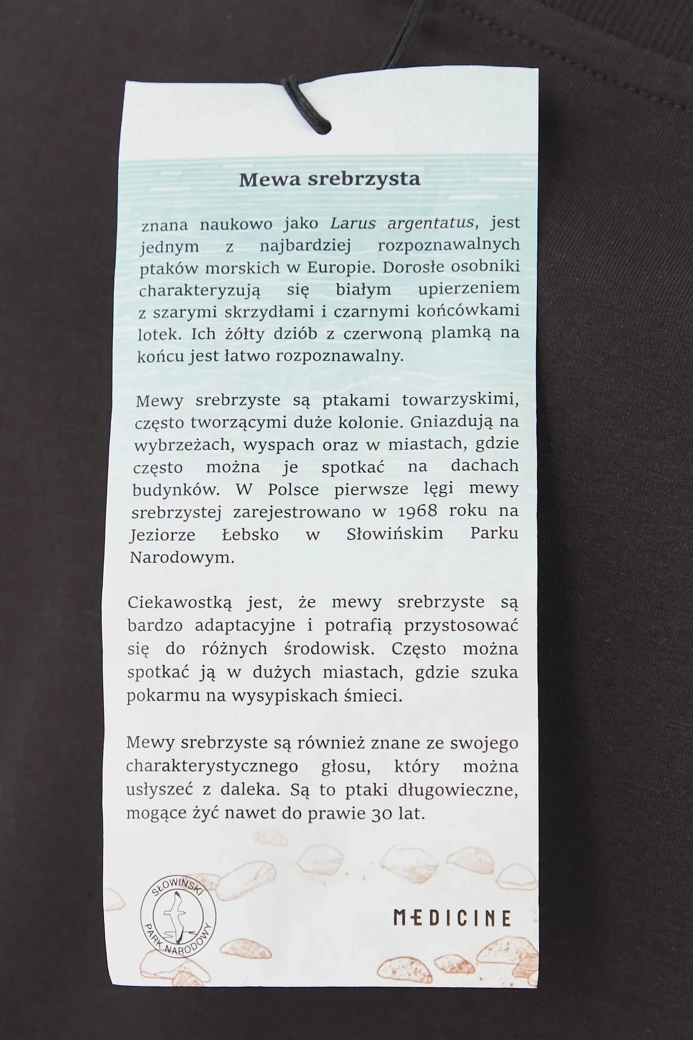 футболка серая для женщин - фото 8