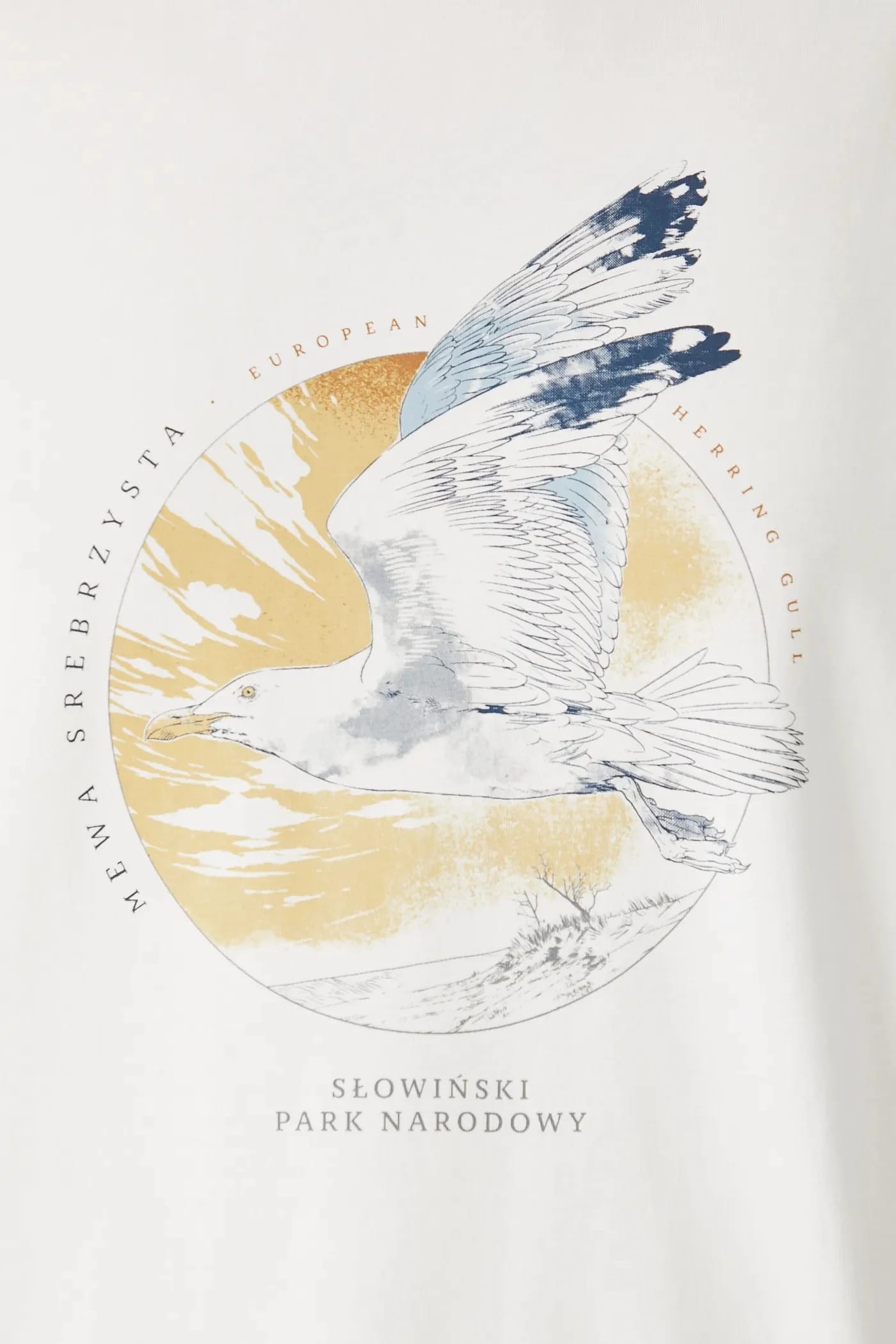 футболка бежевая для женщин - фото 6