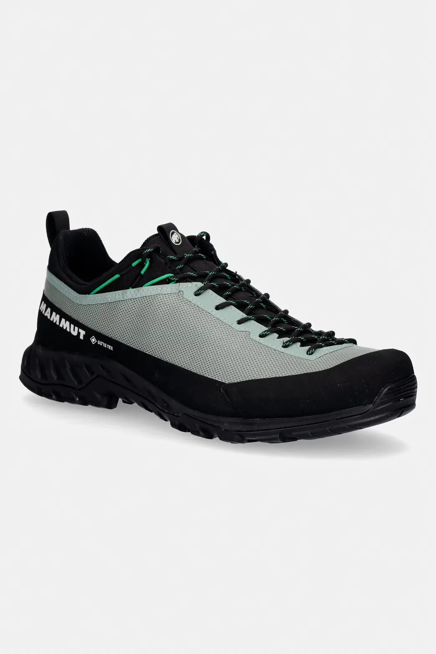 Мужские трекинговые туфли Alnasca IV Low GTX