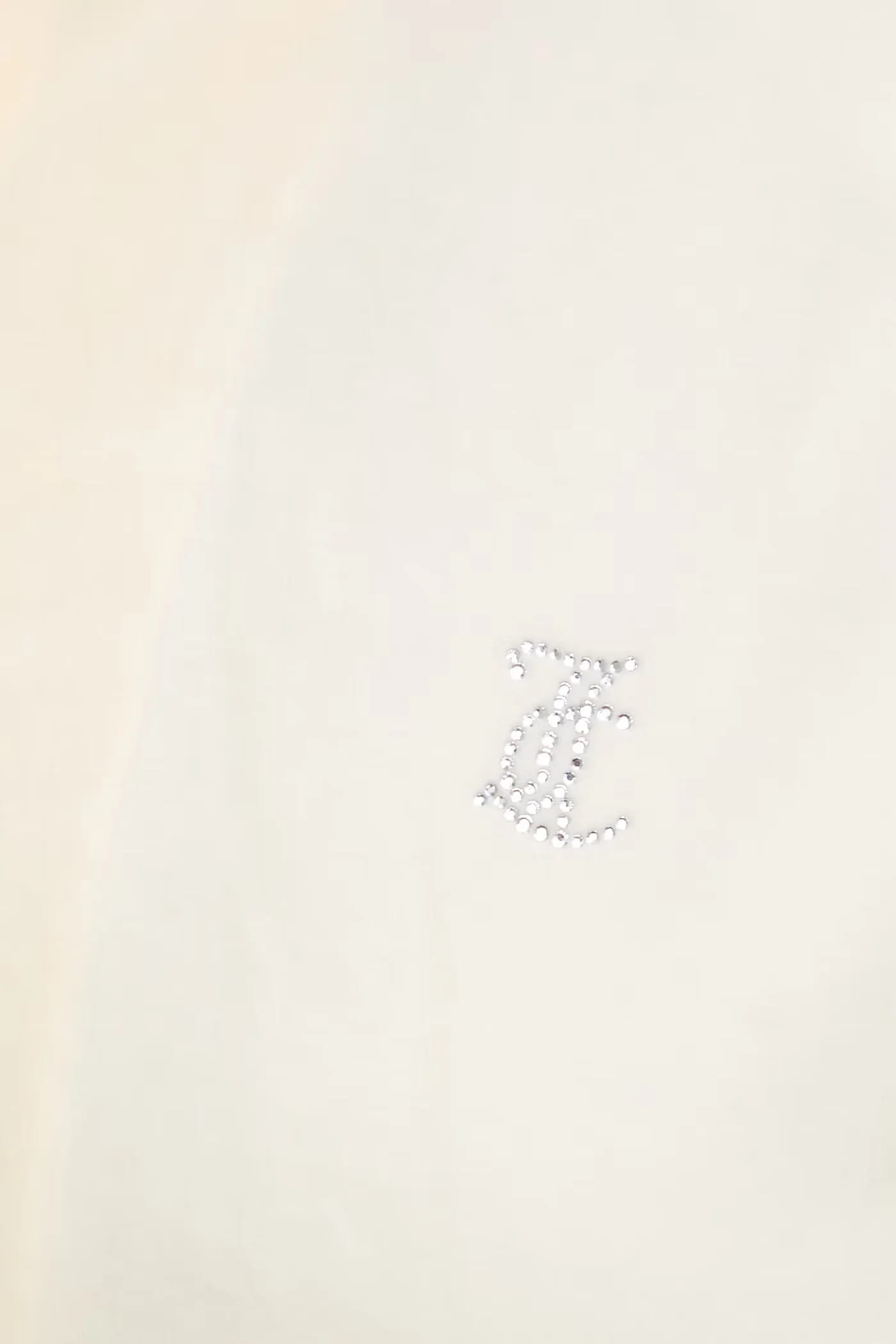 ICCLE HOODIE женская велюровая толстовка - фото 5