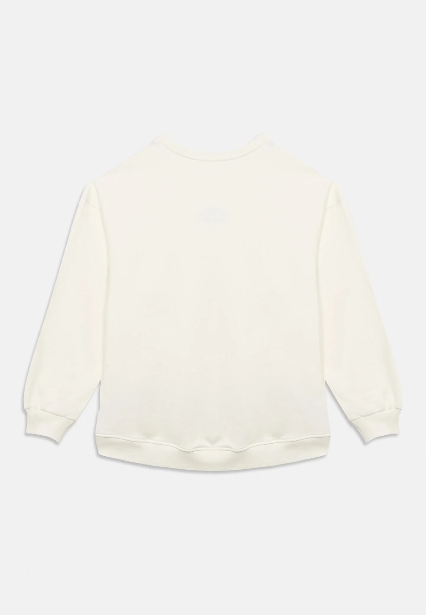 SKIPRYS UNISEX - Толстовка - фото 5