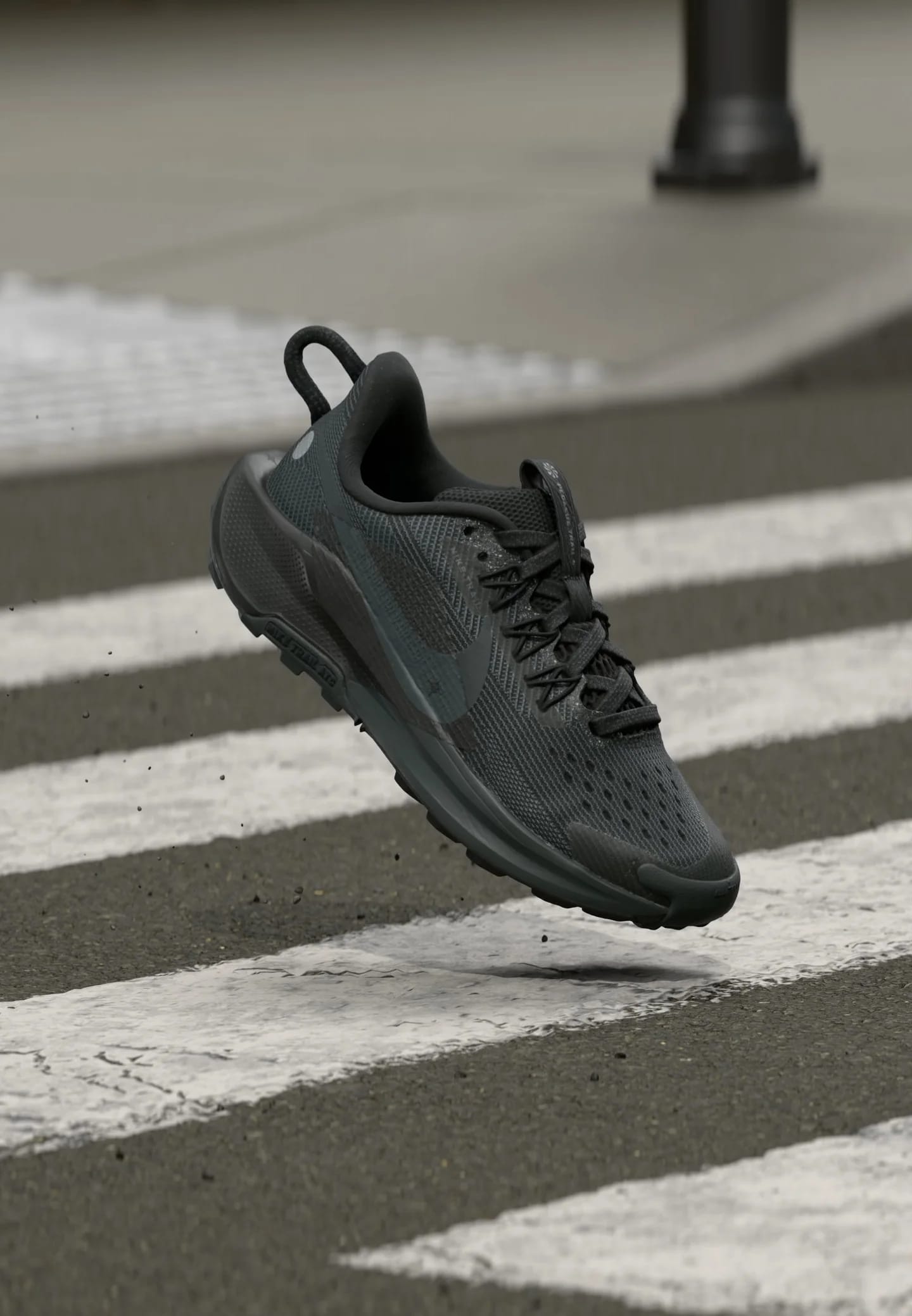 PEGASUS 5 UNISEX - Кроссовки для бега по пересеченной местности