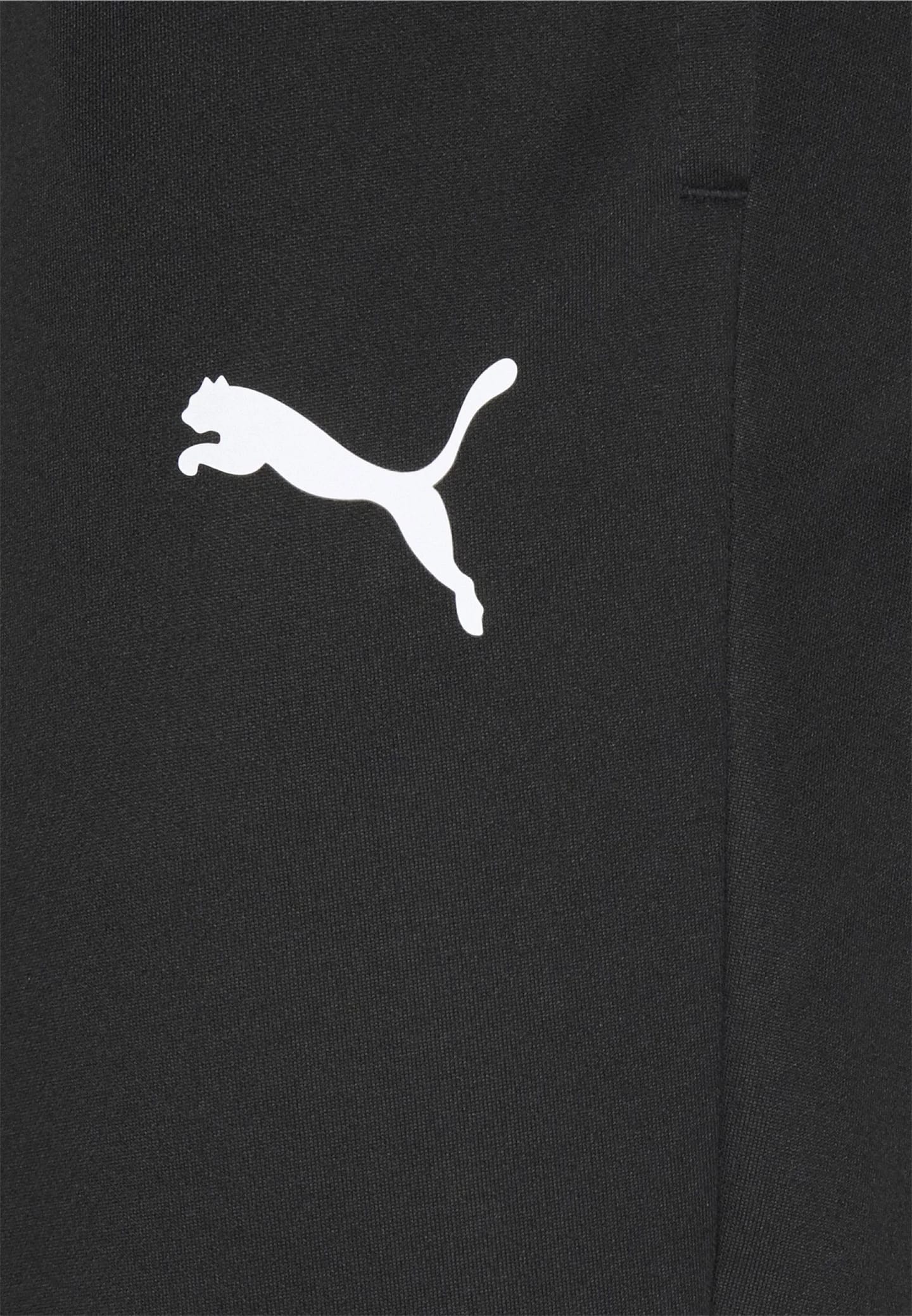 TEAMRISE TRAINING PANTS - Тренировочные брюки - фото 3