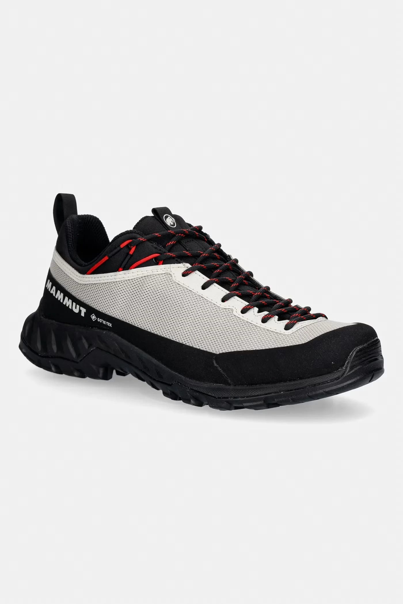 Женские трекинговые туфли Alnasca IV Low GTX