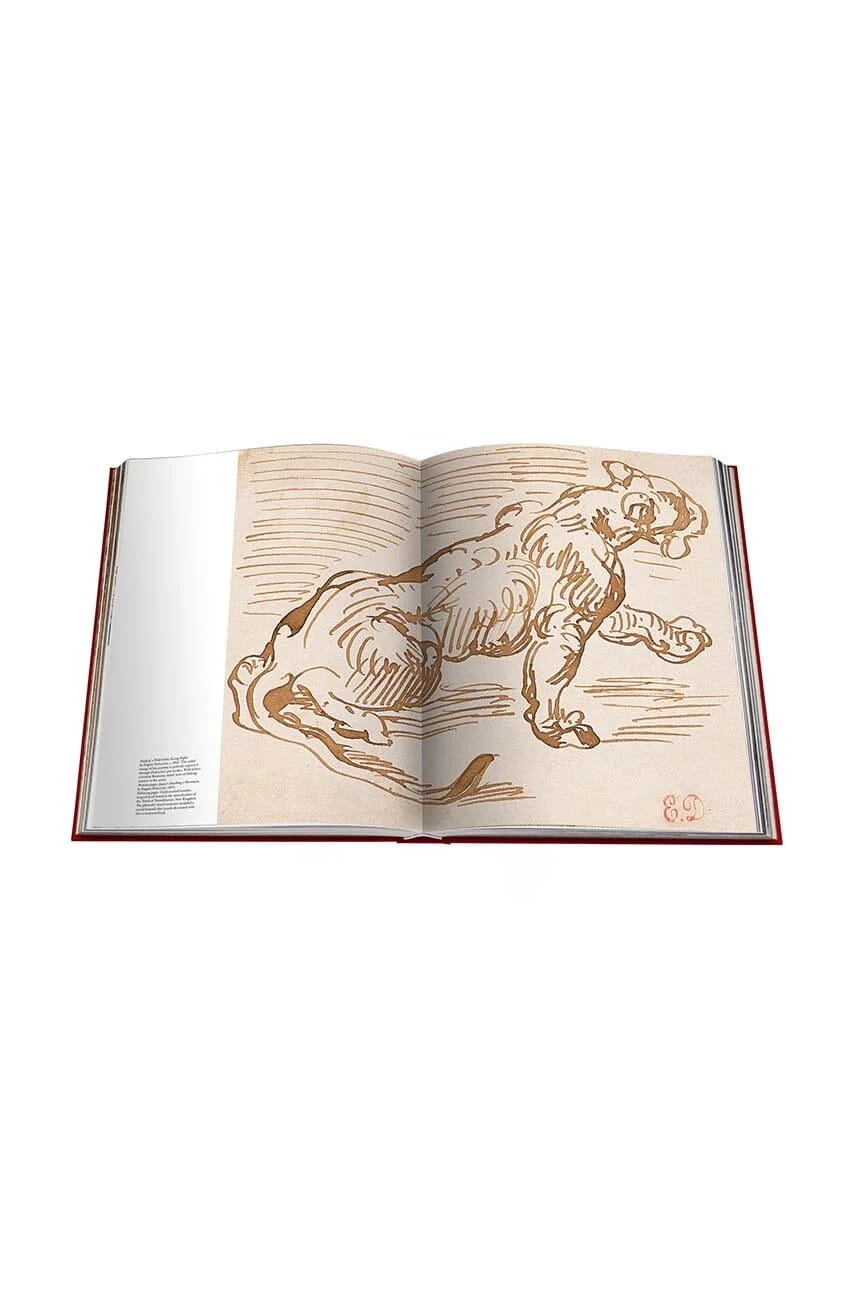 Книга Cartier «Пантера», Вивьен Беккер, английский - фото 8