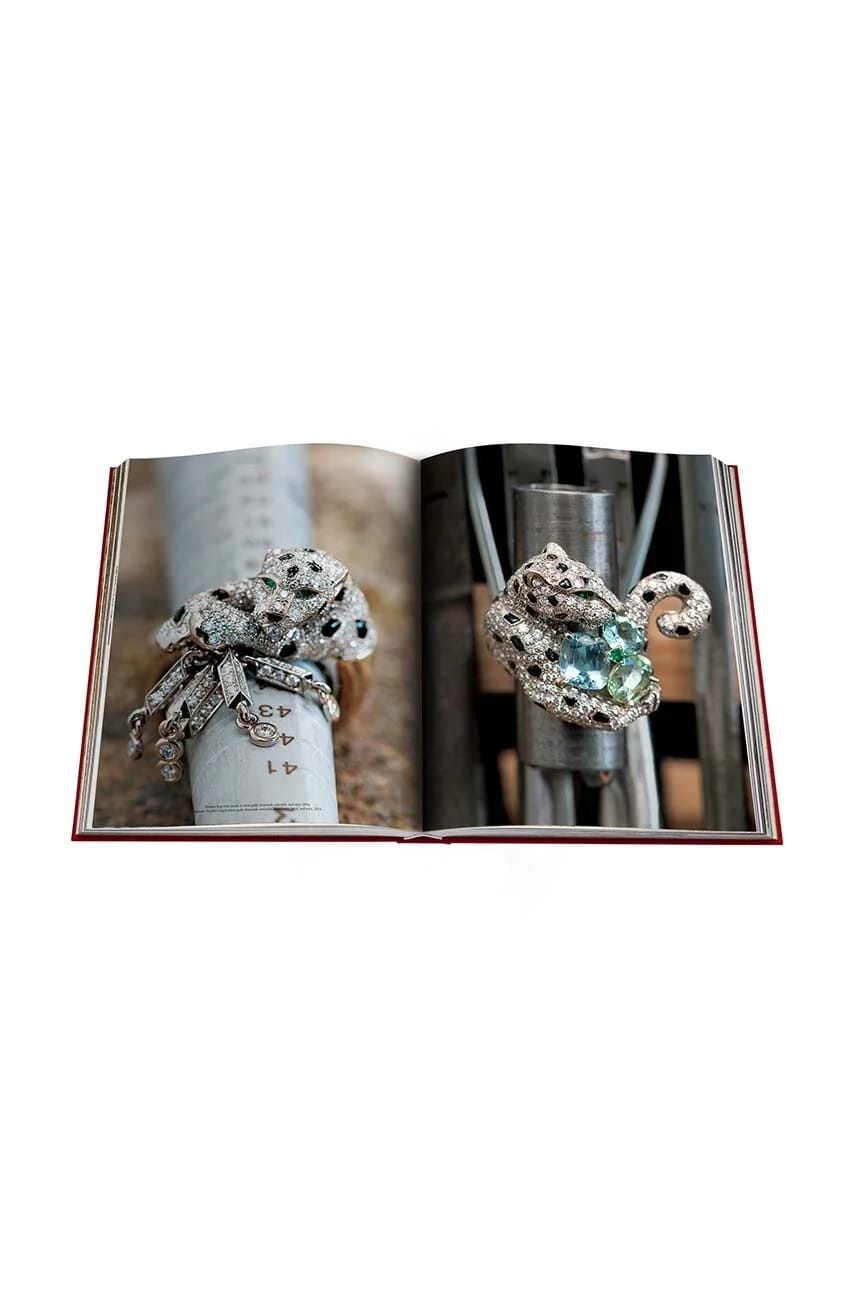 Книга Cartier «Пантера», Вивьен Беккер, английский - фото 10