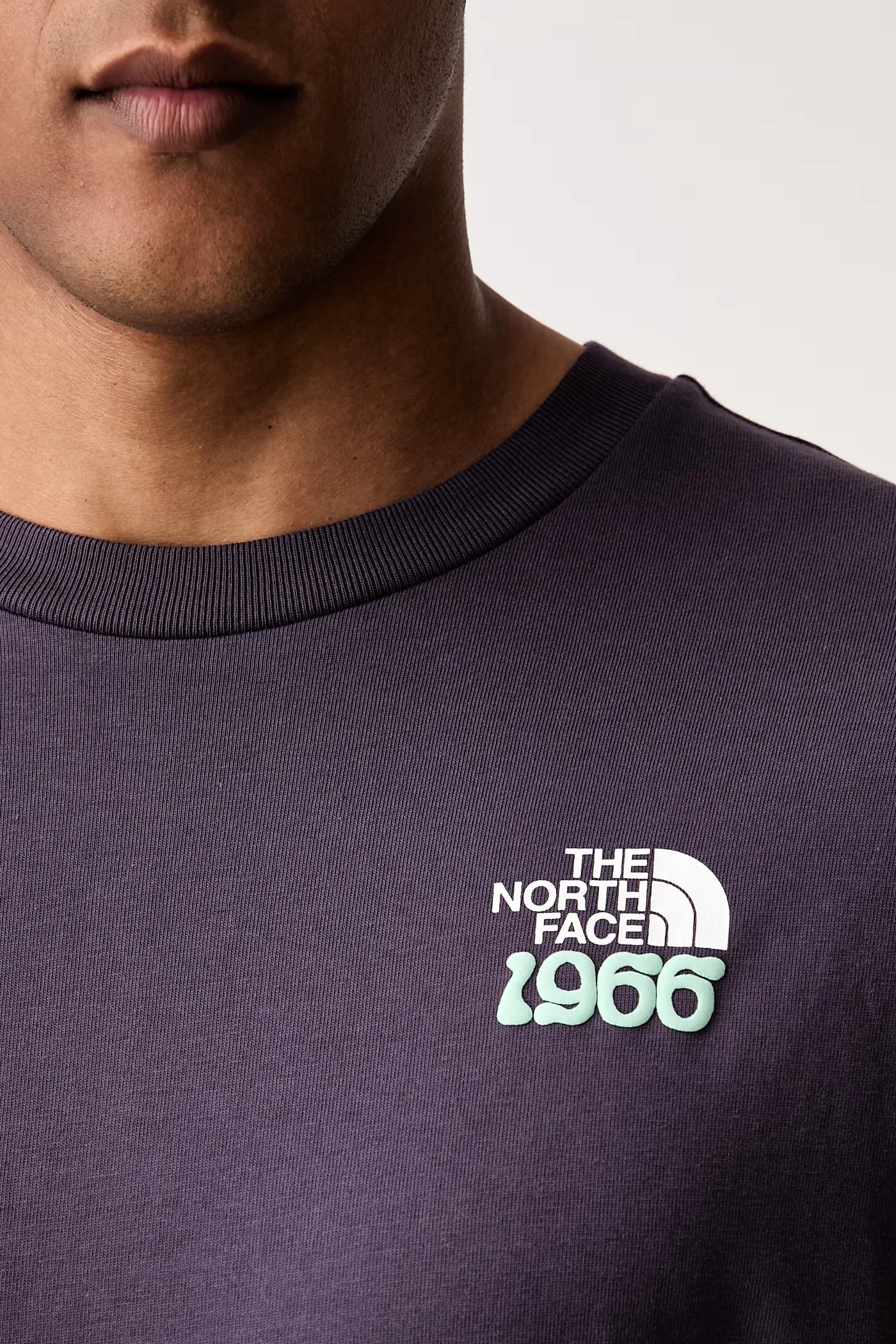 Мужская хлопковая футболка 1966 TNF RELAXED - фото 5