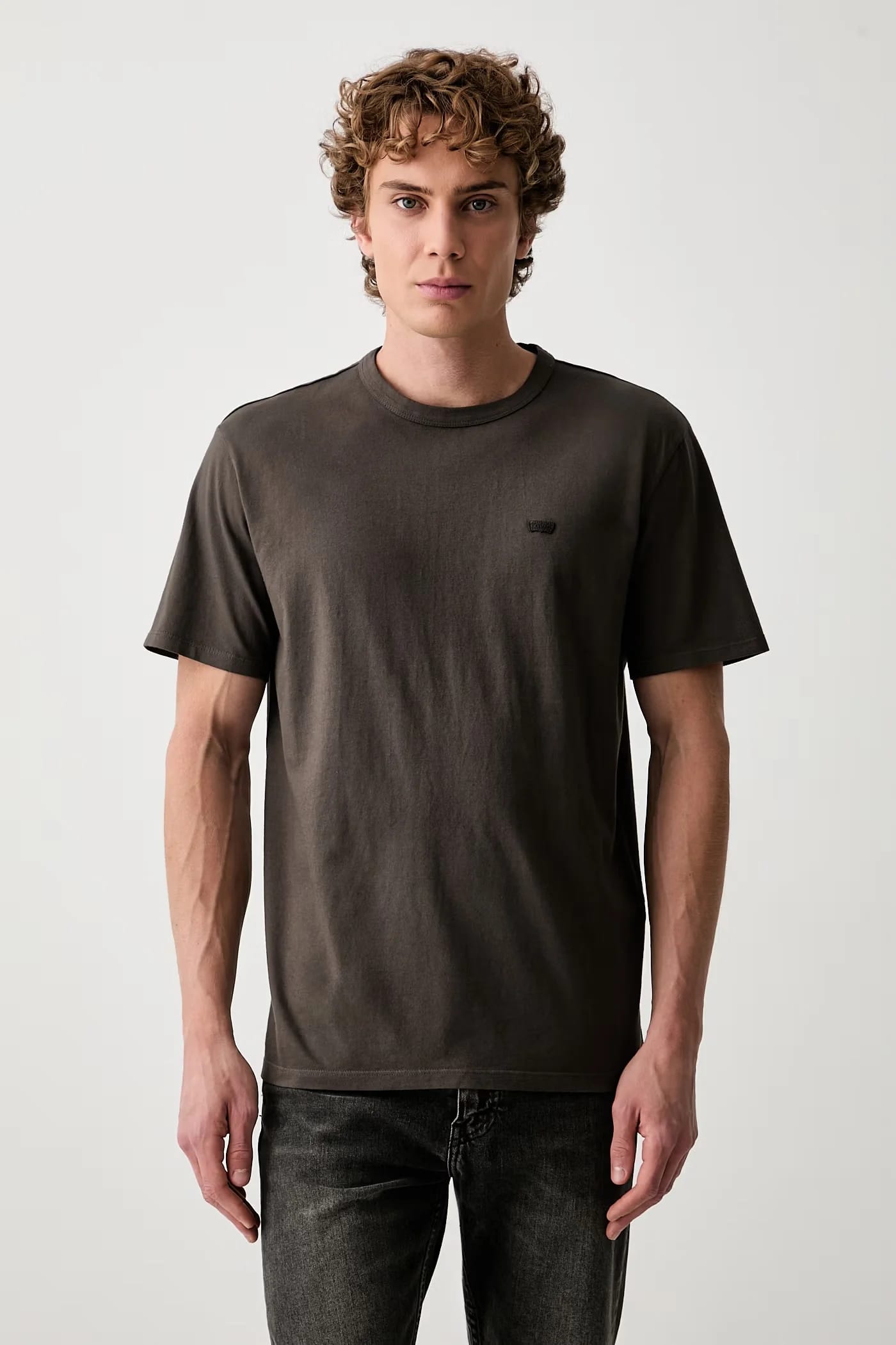 Мужская футболка из хлопка LEVIS ORIGINAL TEE - фото 1