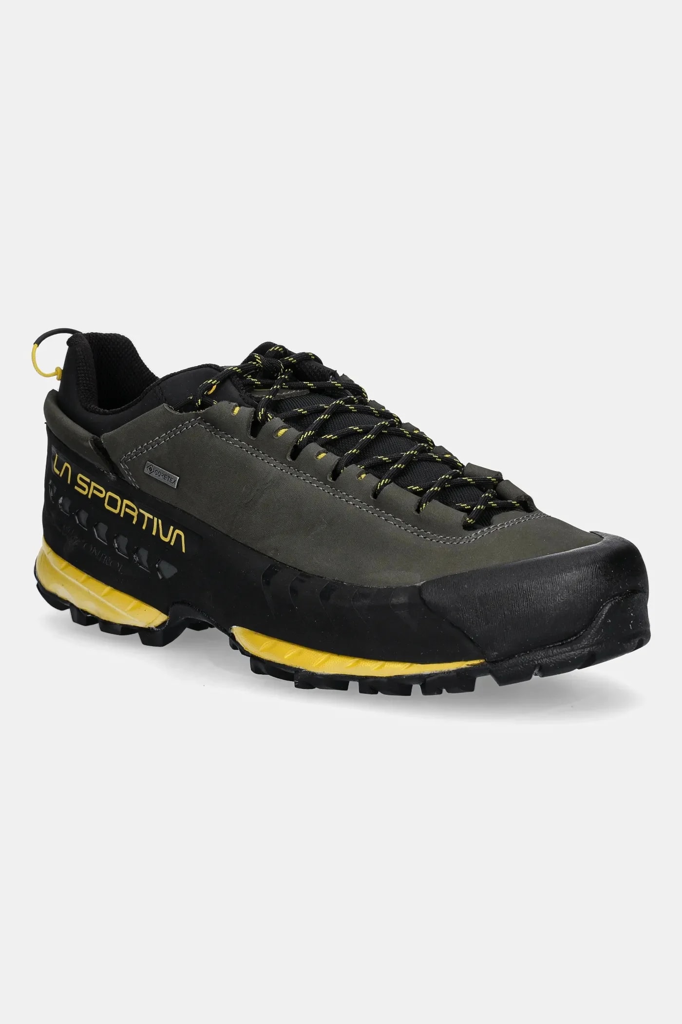Уличная обувь TX5 Low GTX