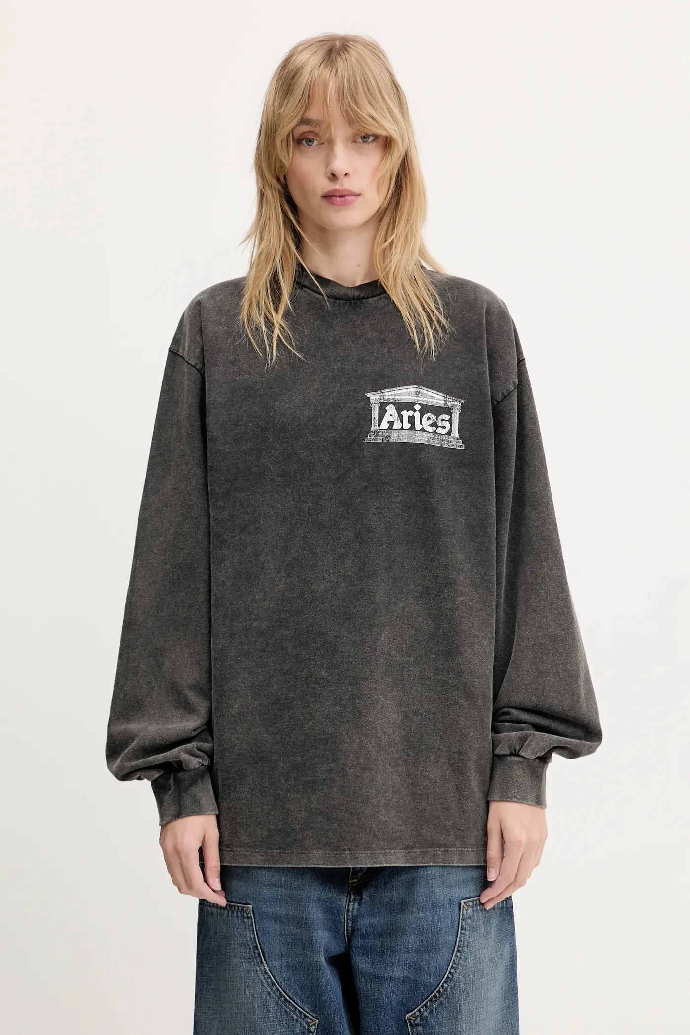 Футболка Aged Ancient Temple LS из хлопка с длинными рукавами