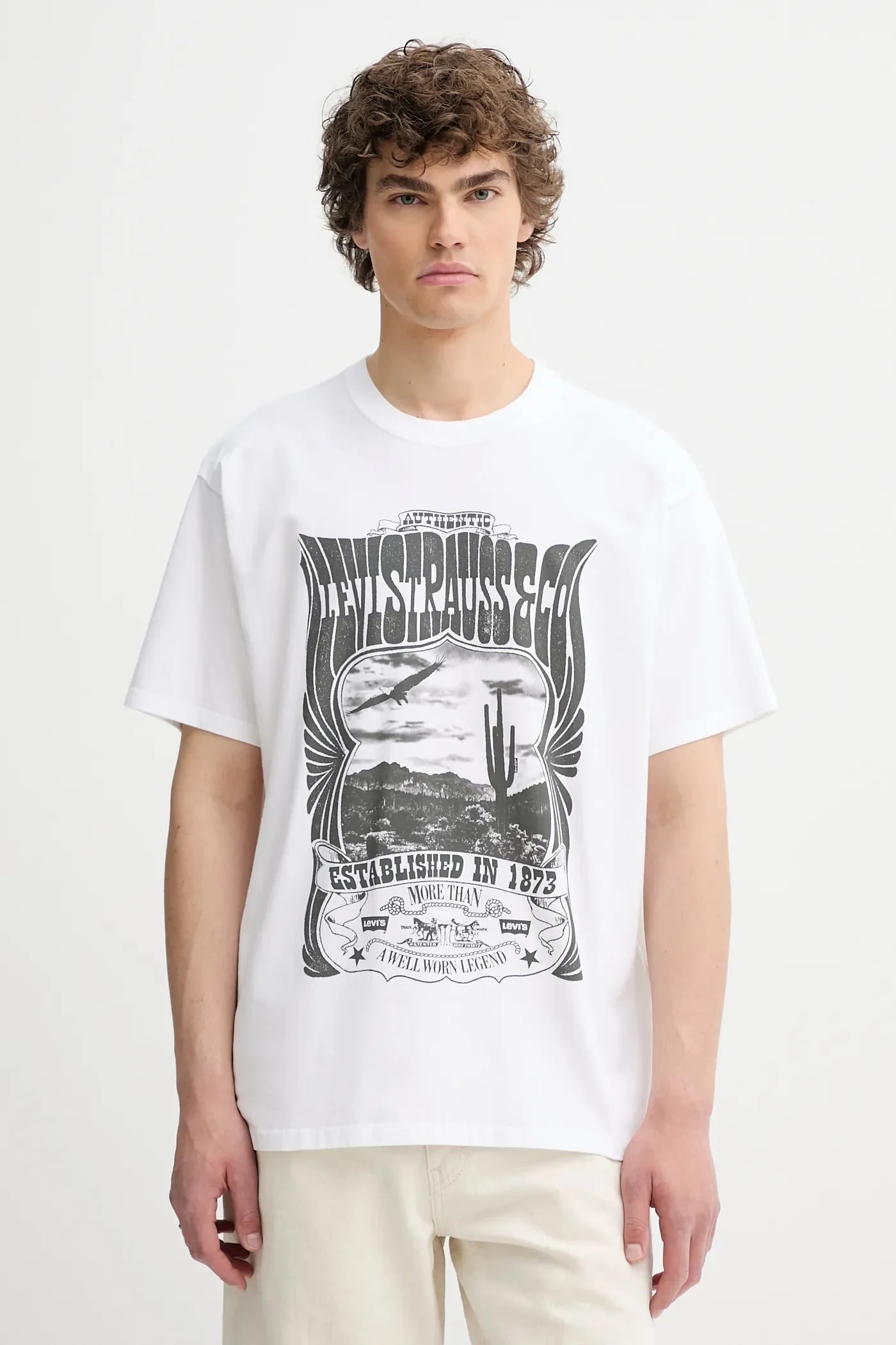 Мужская футболка VINTAGE FIT GRAPHIC из хлопка