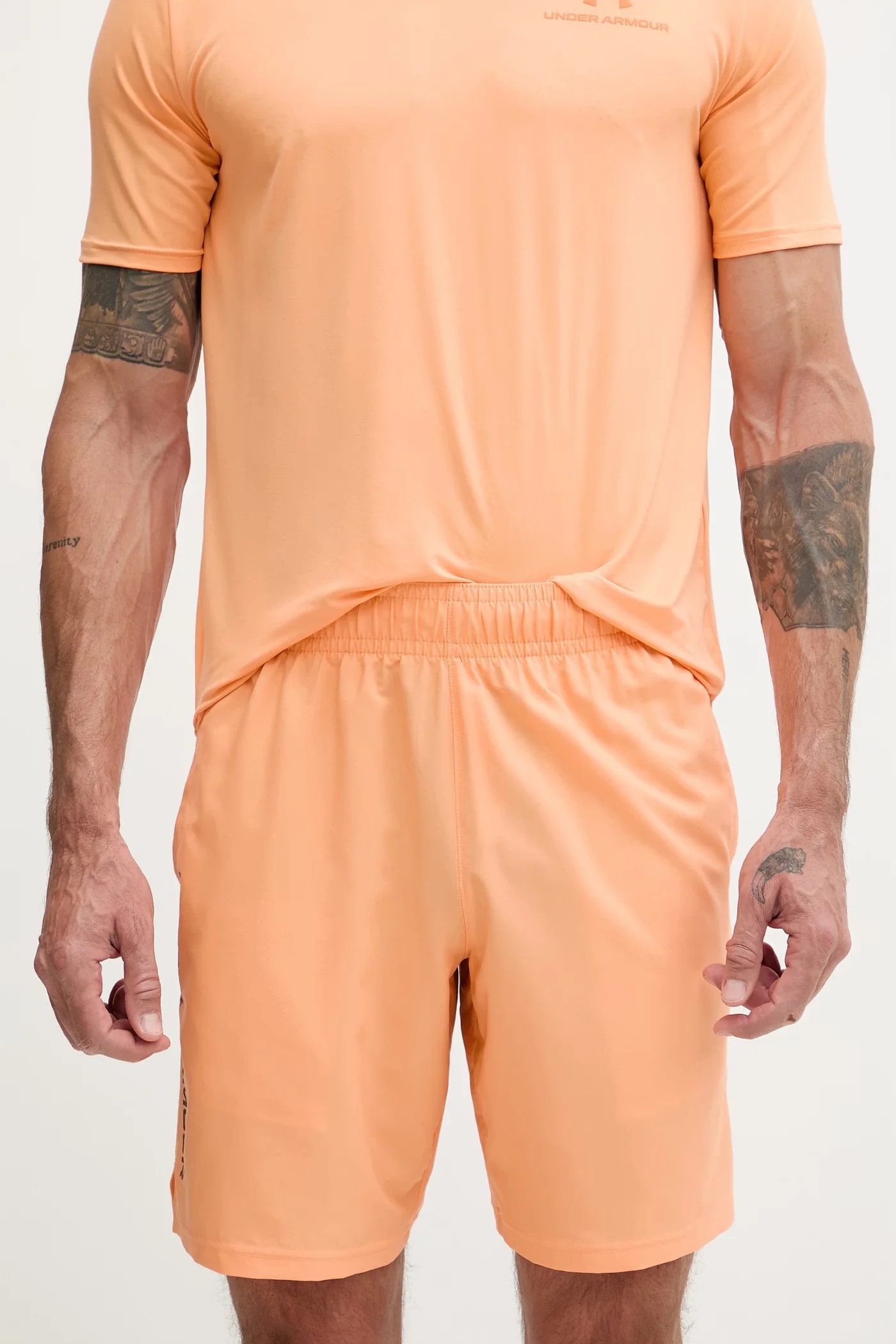 Мужские спортивные шорты Vanish Woven