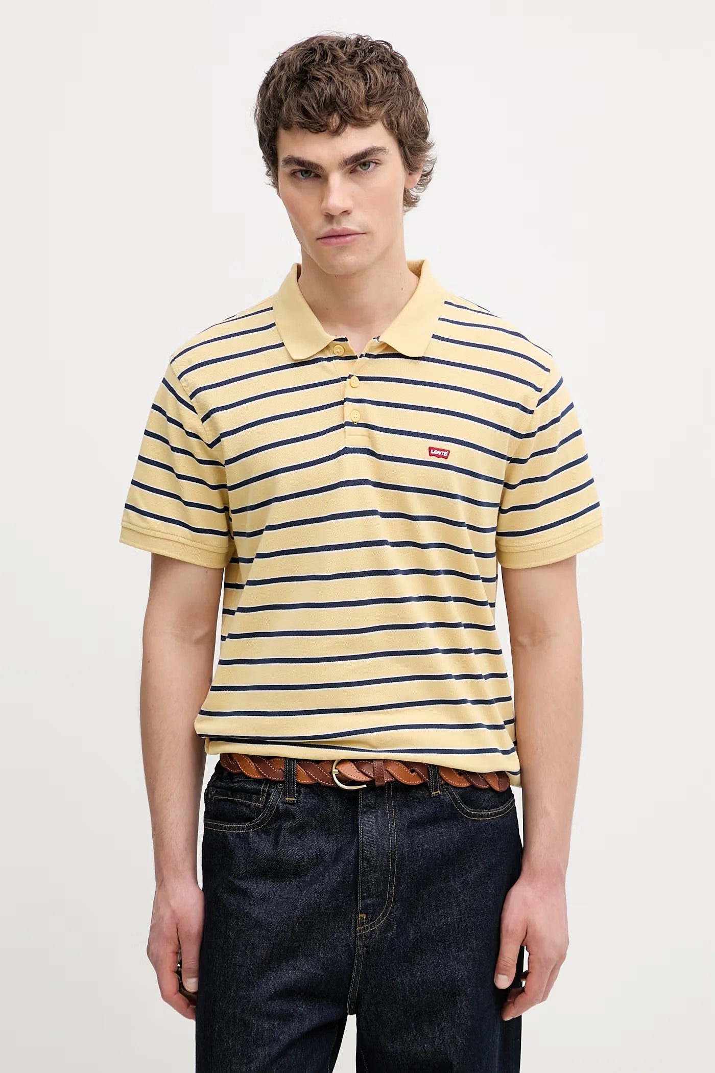 Мужское хлопковое поло LEVIS HM