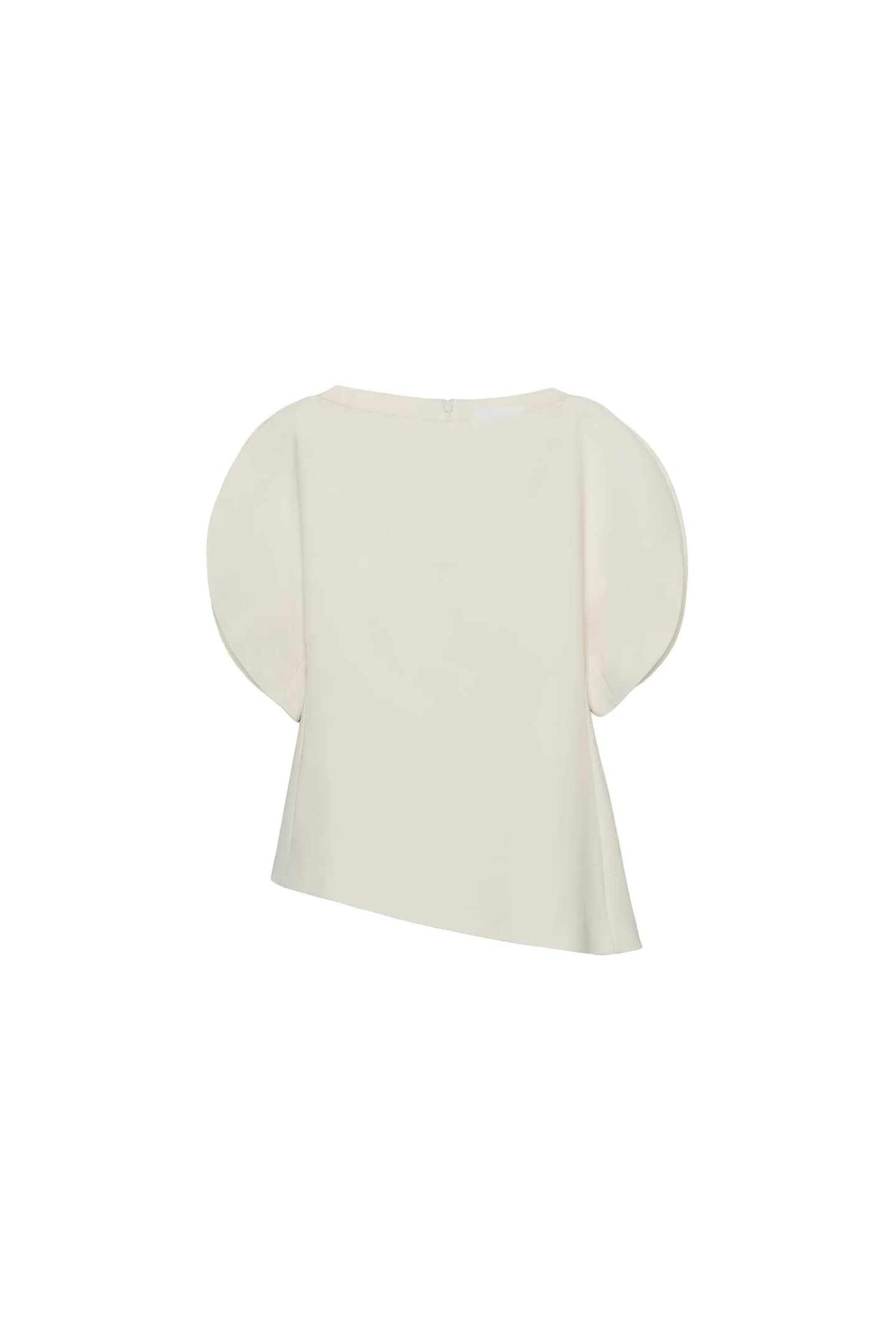 ТОП С БУХНЫМИ РУКАВАМИ ИЗ КОЛЛЕКЦИИ ZW