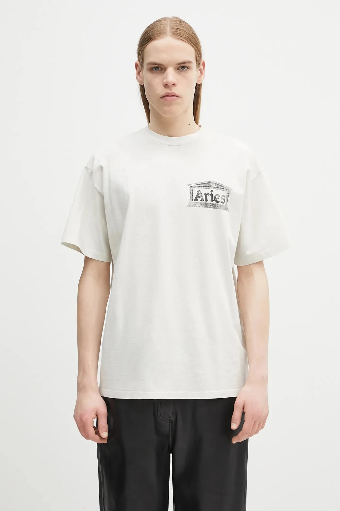 Футболка Aged Ancient Temple SS, хлопковая футболка