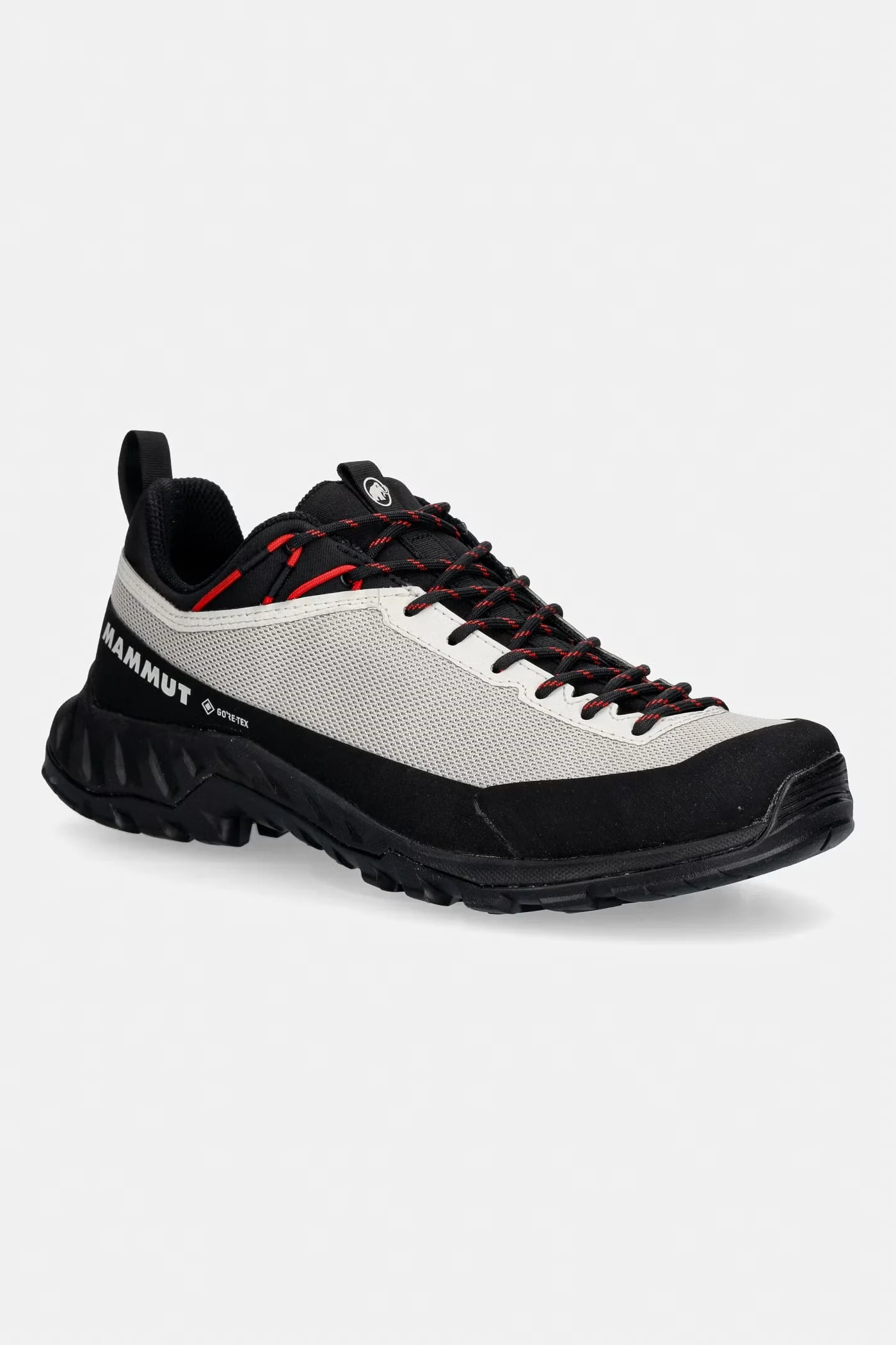 Женские трекинговые туфли Alnasca IV Low GTX