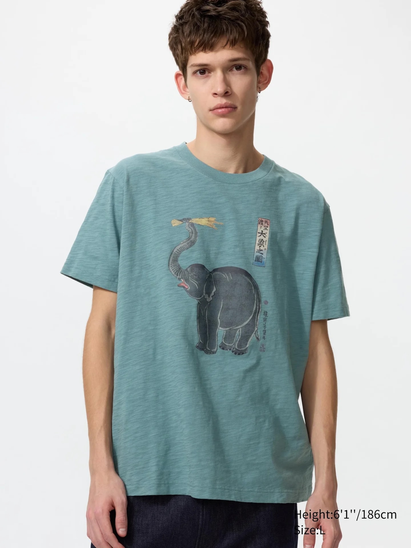 Футболка Ukiyo-e Animals UT